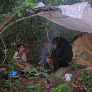 Estelle with chimp under a tent canopy in the forest