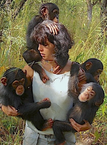 Estelle with baby chimps hanging on her